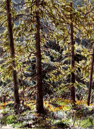 Bergwald